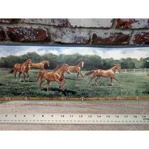 Brewster Wild Horses Wallpaper Border Prepasted Vinyl 5 Yards 203B25575 USA